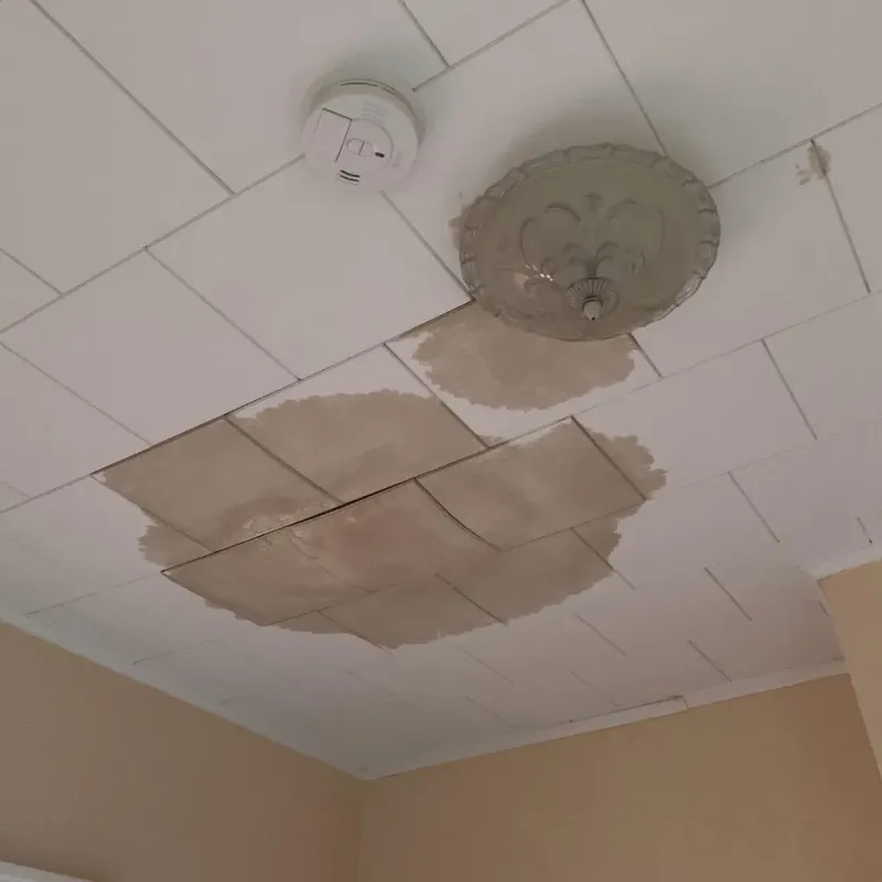 Ceiling Water Damage Repair in Boutte, LA