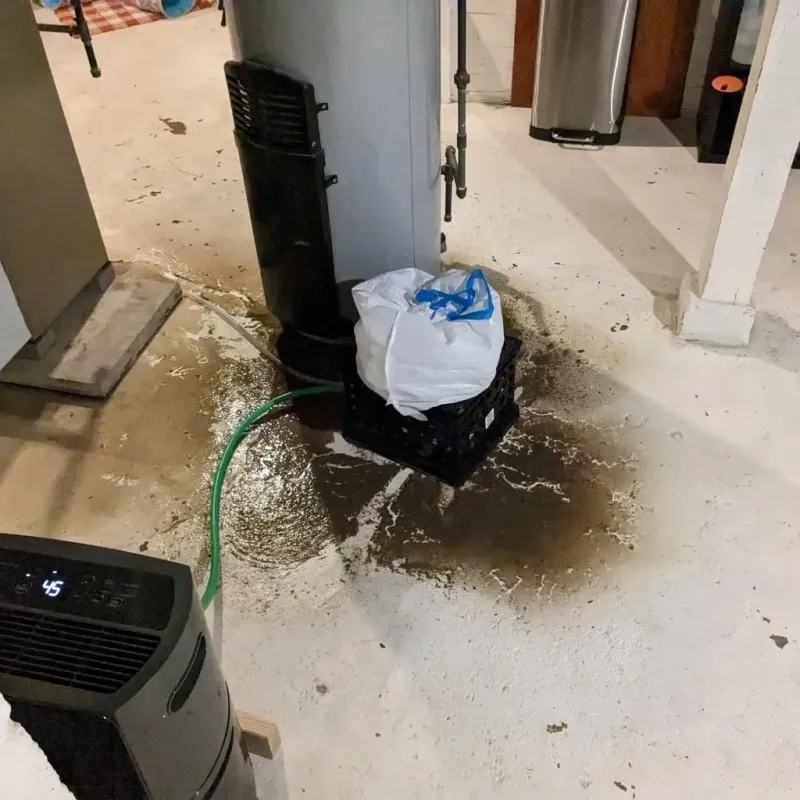 Sewage Backup Cleanup Service in Boutte, LA